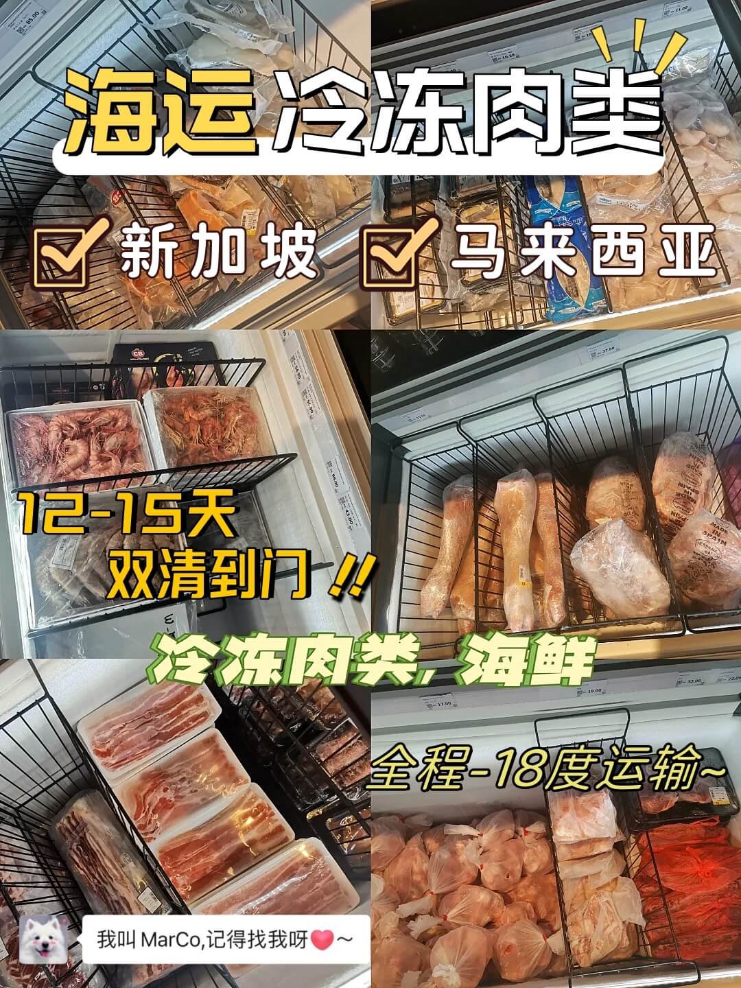 冷冻食品-肉类出口新加坡